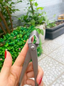 Kìm cạp bonsai cạp tròn xéo làm cành