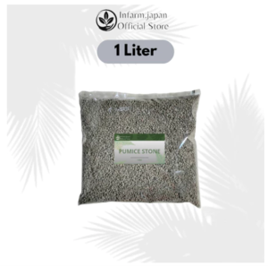 Pumice Stone 1-3 mm (1 dan 2 Liter) Batu Apung Media Tanam Kaktus Sukulen Succulent Tanaman Hias