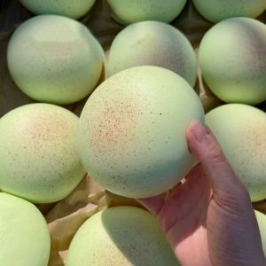 ZSDN MALL Flash Taro Bread Squeeze Toy Kneading Slow Rebound Simulation Bread Squeeze Toys Sensory Toy Cartoon Food Play Fidget Toy Children Adult