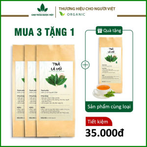 Trà lá vối túi lọc (Thanh nhiệt thanh lọc cơ thể tốt cho người tiểu đường) - Chợ Thảo Dược Việt