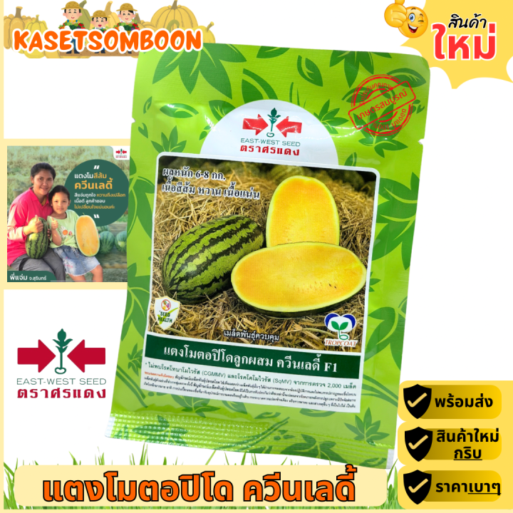 เมล็ดพันธุ์แตงโม ควีนเลดี้ ศรแดง เนื้อเหลือง