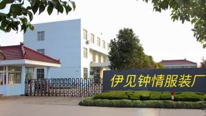 French-style White Shirt for Women 2025 New Spring and Autumn Loose Long Sleeve Shirt for Petite Women Suitable for Professional Commuting