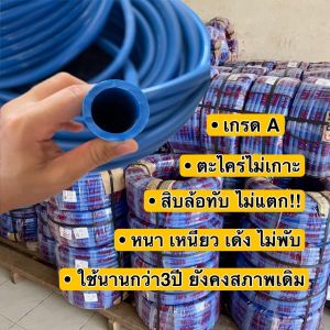 สายยาง 5หุน 100 เมตร เหนียว เด้ง ไม่แตก เบา สายยางฟ้า สายยางนิ่ม สายยางรดน้ำ