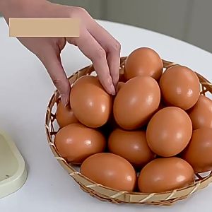2 Tier Refrigerator Egg Storage Organizer Rolling Egg Holder Space Saving Fridge Rack