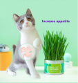 Cat Grass Natural Seed Planting Fast Growing Weatgras Planting Set Twice For Hairball Control. 