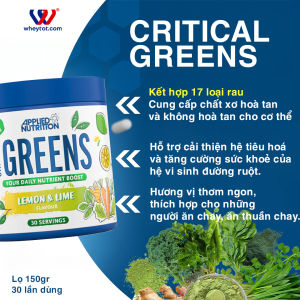 Bột rau củ bổ sung chất xơ & vitamin Applied Nutrition Critical Greens chính hãng