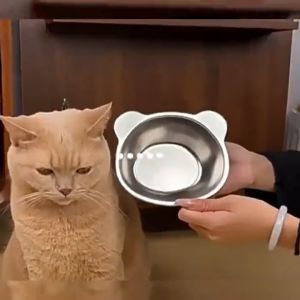 Saelin Elevated Pet Bowl Cat Dog Feeder and Drinker Bowl with Stand Easy Clean Cat Bowl Dog Bowl PAZU