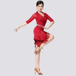 International Ballroom Dance Latin Dance Dress Mesh Tassels Dress Performance Costume