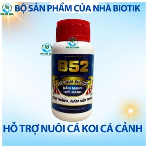 B52 ĐẶC TRỊ NẤM MANG THỐI MÀNG NẤM TRẮNGCHO CÁ CẢNH CÁ KOI LỌ 250ML