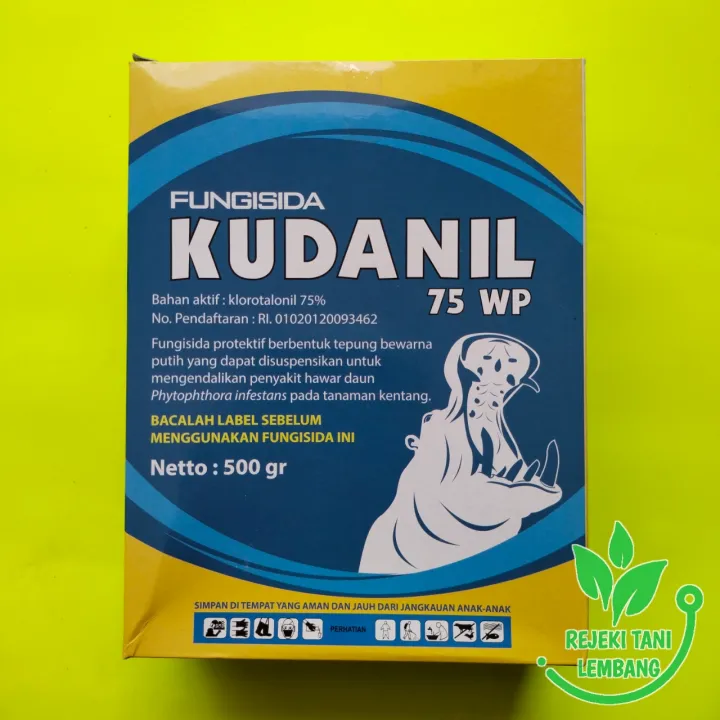 Arxangelskdagi shaxsiy porno fotosuratlar