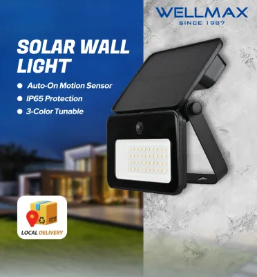 WELLMAX Solar Light Outdoor Waterproof 3-Color Dimming Auto-on Motion Sensor Solar Charging Light for Garden Wall