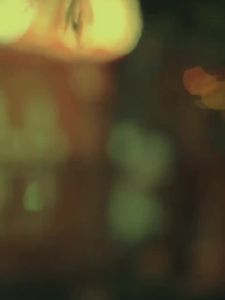 多功能电煮锅分体分离式宿舍学生锅煮面小型小电锅家用迷你1人2