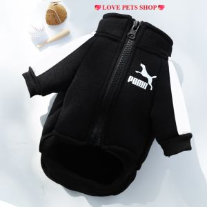 Áo khoác thể thao Pomii Cho Chó Mèo (mẫu mới) - Love Pets Shop