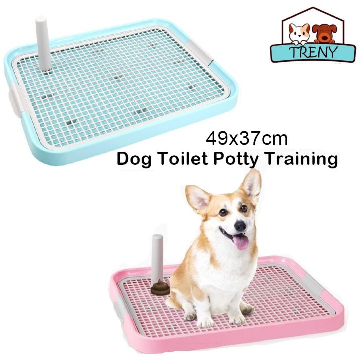 How To Potty Training Male Dogs Male Dog Doggy Potty Area Indoor