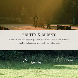 LACHEK [ Aroma Reed Diffuser Set ] 200ml Home Fragrance With 5 Reed Stick