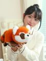 Gấu bông Gấu trúc đỏ biến hình gấu trúc siêu cute  - Gấu bông Panda - Thú nhồi bông nhập khẩu - Gấu bông giá rẻ. 