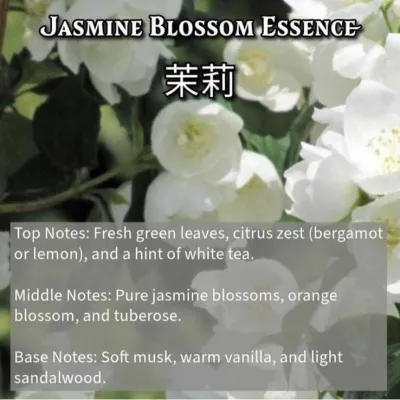 Automatic Aroma Diffuser Essential Oil Fragrance Machine – Long-Lasting Freshness for Any Space Rechargeable