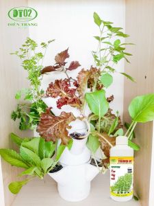 Dung dịch thủy canh trồng rau sạch 500ml cung cấp đầy đủ dinh dưỡng cho cây trồng Minh Hân Garden