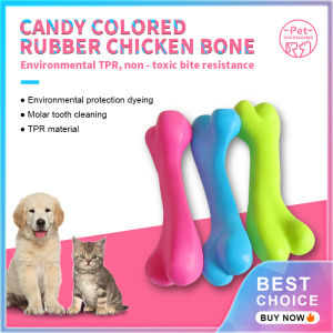 Pet Toy Dog Toy Supplies Rubber Bone Molar Training Dog Toys