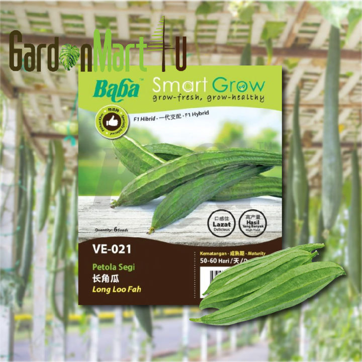 Baba Smart Grow Seeds VE-021 Hybrid Long Loo Fah (Petola Segi) 10SEEDS ...
