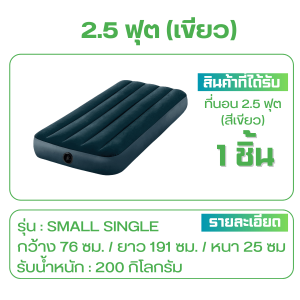 ที่นอนเป่าลม สีเขียวที่นอน ที่นอนปิคนิค เบาะรองนอน เบาะลม ที่นอน 2.5 3.5 4.5 5 ที่นอนสูบลม (ฟรีแผ่นปะซ่อมในกล่อง)