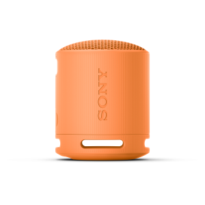 SONY XB100 Portable Wireless Speaker SRS-XB100 SRSXB100 SRS-XB13 SRSXB13 SRS-XB SRSXB