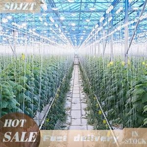 BJ🔩🔧🔗 ตะขอลูกกลิ้งสำหรับพืชสวน6ชิ้น เซ็ตตะขอยึดมะเขือเทศชุดรองรับเชือกสตริงสำหรับมะเขือเทศมะเขือยาวแตงโมพริก