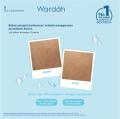 Wardah Acnederm Pure Foaming Cleanser 60 ml - Facial Wash dengan Allantoin - Pembersih Wajah Berjerawat. 
