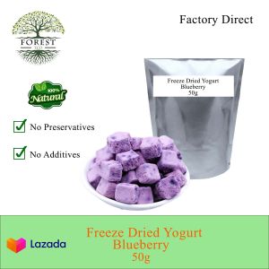 Freeze Dried Yogurt Cube (100g) 冻干酸奶块