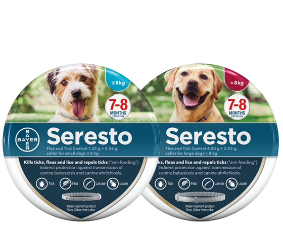 BAYER Seresto tick and flea collar ปลอกคอเห็บหมัด ปลอกคอกำจัดเห็บหมัด ...