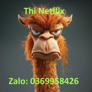 Netflix premium