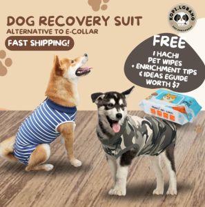 ✅[SG]Pet Recovery Suit | Dog & Cat Surgical Shirt | E-Collar Alternative | Post-Surgery Protective Wear
