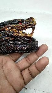 Gelang Akar Bahar Merah Tembus Cahaya Ukir Samping Naga Full