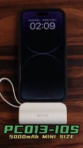 BAVIN PC012 / PC013 5000mAh Mini Fast Charging Portable Built-in Cable