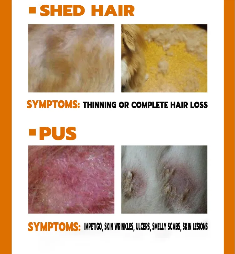 Mcgiten Pet Skin Treatment Spary mange spray dog medicine for skin