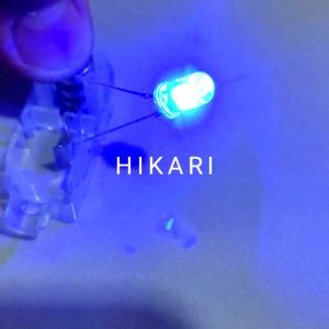 Lampu LED 5mm 2 Warna KEDIP MERAH BIRU / LED KEDIP 2 WARNA BIRU MERAH 10pcs