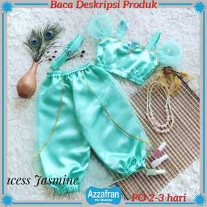 Kostum Aladin dan Princess Jasmine | Setelan Anak Laki Laki | Baju Carnaval | Azzafran for Mommy