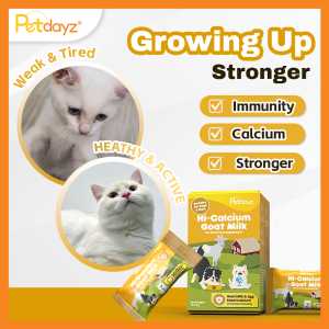 PetDayz Hi-Calcium Goat Milk Pet Nutritional Supplement For Immune Enhancing | Cat & Dog | Goat Milk & Egg Shell Calcium | 10 Sachets x 5g