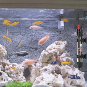 Thiết Bị Sưởi Ấm Bể Cá Thủy Tinh 50W Phụ Kiện Bể Cá