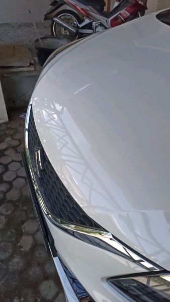 Buyer review video 2