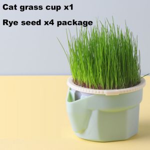 Fresh Cat Grass Can Lazy Healthy Cat Food Cat Grass Seed Easy To Plant Hairball Solution Rumput Untuk Kucing