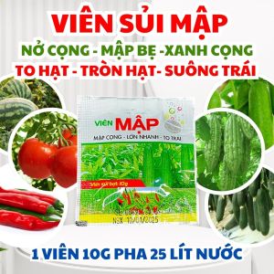 Phân Bón Lá - Viên Sủi Mập - LP Caboric Viên Mập 10g | Canxi Bo Dạng Viên Sủi – Giúp Rau Lớn Nhanh Cọng Mập Bẹ Dày