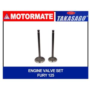 TAKASAGO Intake and Exhaust Valve Barako/Shogun/Fury 125/Raider J/TMX155/Rouser 135