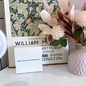 《带娃神器》婴儿哄睡神器新生儿白噪音睡眠仪宝宝止哭助眠音自然情景音箱夜灯