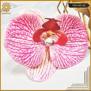 Kepala Bunga Anggrek Latex Jumbo1 Kuntum/Kelopak Bunga Anggrek/Bahan Seserahan Orchids (KN-434)