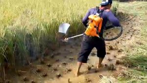 Mesin Potong Rumput Multifungsi 2 Tak Komplit Pisau Potong PadiTanah 2 mata pisau