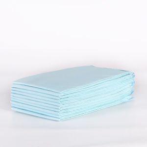 Underpass 10Pcs Disposable Pads for Pregnant Nursing Adult Diapers Patients Pee Pads 60*90cm