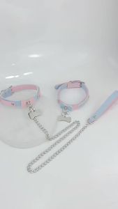 Blue and pink bone-shaped collar with engraved dog tag a fun and stylish accessory sm Training props cute collars with leashes products drop shipping