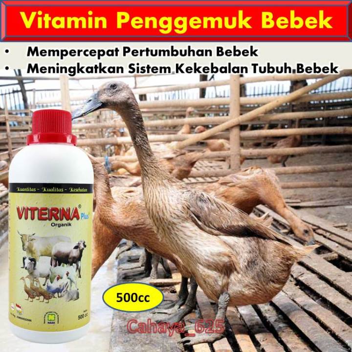 Vitamin Bebek Pedaging / Mineral Bebek / Vitamin Itik Petelur / Vitamin Bebek Petelur / Vitamin Itik