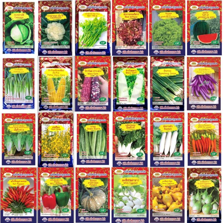 7 อันดับเมล็ดพันธุ์ผักซองยอดนิยม ปลูกผักสวนครัวง่ายๆ อัปเดตปี 2025